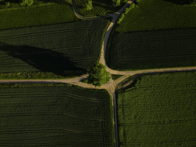 Aerial view of several paths crossing through green fields, symbolising choice, direction, counselling, and coaching.